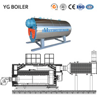 Chaudière à vapeur industrielle au gaz naturel ou au fioul lourd Wns 2Ton 3Ton 4Ton 5Ton 6Ton 8Ton 10Ton 12Ton 15Ton 20Ton