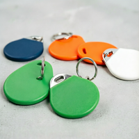 Llavero RFID Personalizado TK/EM 4100 125KHz, Anillo Inteligente para Control de Acceso, Etiqueta Inteligente