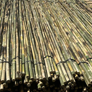 Varillas de bambú duraderas para la gestión de cultivos agrícolas - Product Image 2