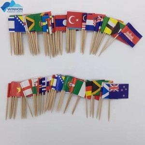Stuzzicadenti con Bandiere Nazionali di 50 Paesi, Confezione da 100 Pezzi con 50 Bandiere Diverse in Scatola - Product Image 4