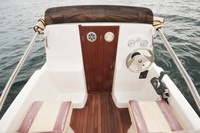 SAFTER MARINE Özelleştirilmiş 500C Dıştan Takma Motorlu Fiberglas Kabinli Tekne El Yapımı Deniz Uygulaması Aile Arkadaşlar Eğlence 60HP 35mph