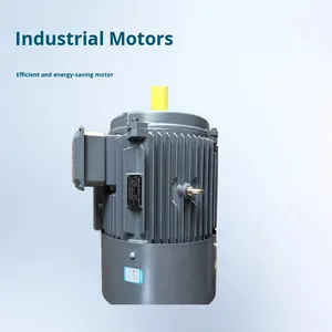 มอเตอร์อะซิงโครนัสสามเฟสประสิทธิภาพสูง 4 กิโลวัตต์ AC รุ่น Ye3--225M-4-45Kw ประหยัดพลังงาน - Product Image 2