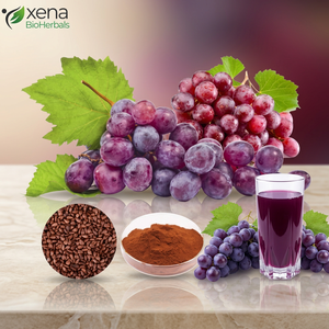 Fabricant de poudre d'extrait de raisin, fourniture en vrac d'extrait de raisin noir, fournisseur de qualité alimentaire à haute pureté - Product Image 1