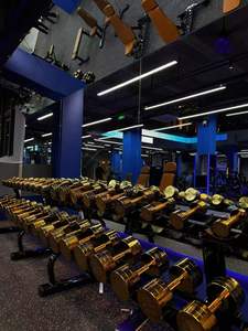 Nhà Máy Sản Xuất Sang Trọng Quả Tạ Electroplated Quả Tạ Thiết Bị Tập Thể Dục Rắn Tinh Khiết Thép Nhà Phòng Tập Thể Dục Tập Thể Dục Cánh Tay - Product Image 4