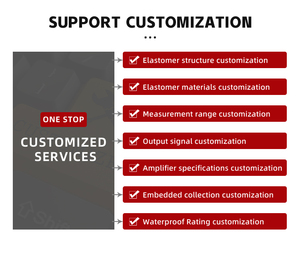 Nhiều loại mô-đun quảng cáo có thể tùy chỉnh mô-đun điều khiển thiết bị đo đạc cảm biến Dụng cụ đo vật lý kiểm tra - Product Image 4