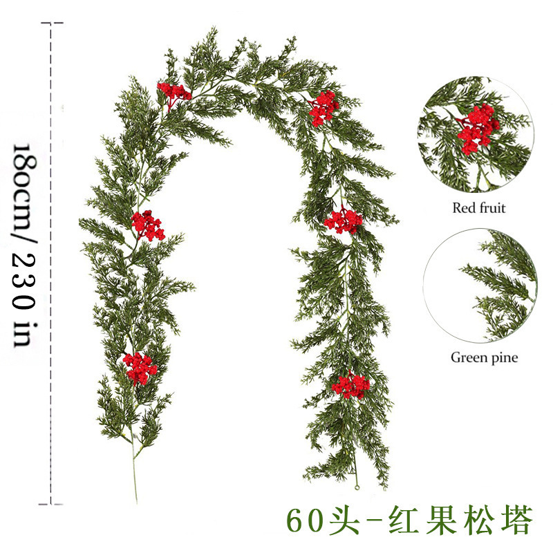 60 หัว - โคนสนแดง