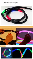 Tube néon flexible en silicone LED DMX noir 360°, lumières DJ programmables, tube néon D22 pour festivals de musique et raves