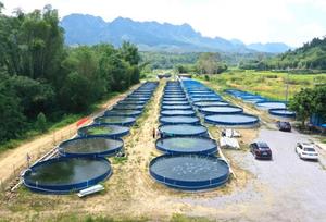 Geomembrana de HDPE de 0.75mm-2.5mm, Revestimiento Impermeable para Estanques, Presas, <span class=keywords><strong>Canales</strong></span> y Embalses, Antifiltraciones, Ecológica, de Alta Densidad y Larga Duración - Product Image 3