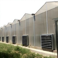 Serre agricole intelligente multi-voûtes de type Venlo en polycarbonate (feuille de PC) de 8 mm avec système hydroponique