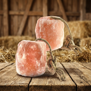 Lèvres de sel de vache de l'Himalaya naturelles de qualité supérieure pour l'exportation, en forme de cube, blocs à lécher pour animaux avec corde de suspension, certifiés ISO pour chevaux - Product Image 1