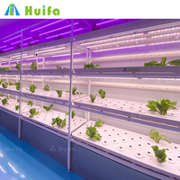 Peralatan Pertanian Pertanian Pertanian vertikal cerdas, wadah penumbuh dapat disesuaikan tanaman dalam ruangan
