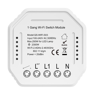 Tuya smart life 100-240V module d'interrupteur d'éclairage à distance contact sec 12V 24V commutateur de relais Wi-Fi solution intelligente