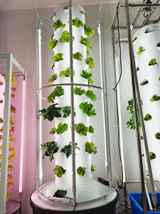 Nouveau Type Kit de système de culture de <span class=keywords><strong>tour</strong></span> de jardin hydroponique verticale 80 Pots <span class=keywords><strong>tour</strong></span> hydroponique <span class=keywords><strong>Belgique</strong></span> - Product Image 3