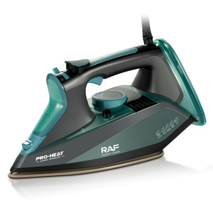 Fer à vapeur professionnel 2000W en acier inoxydable avec revêtement céramique, usage commercial, garantie 3 ans, logo et emballage personnalisables - Product Image 1