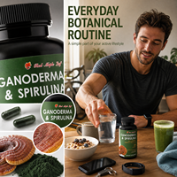 Tonique Herbal Traditionnel avec Champignon Reishi et Spiruline - Favorise la Vitalité, la Santé du Foie et le Bien-être Digestif