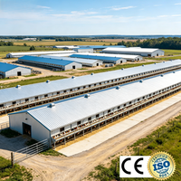 Bâtiment d'élevage avicole en structure acier sur mesure, poulailler en acier léger à construction rapide pour l'élevage commercial de volailles