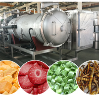 Automatische industriële vacuüm-vriesdroger fabriekslevering grote capaciteit voedseldroogmachine voor zeevruchten, fruit en groenten