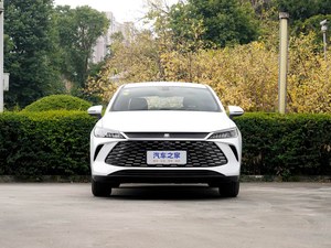 BYD Qin PLUS Modelo 2026 DM-i 128KM Edición Líder - Product Image 1