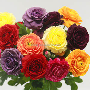 B-594 <span class=keywords><strong>Comprar</strong></span> al por Mayor Decoración para el Hogar, Peonías de Loto, Flores Decorativas Artificiales de Tacto Real, Peonías de Loto Rojas, Flor Artificial de Loto - Product Image 1