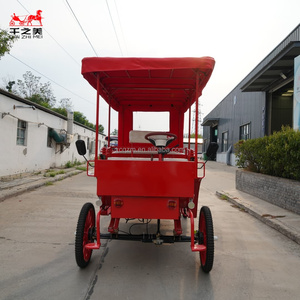 Carroza Eléctrica de Caballos para Turismo OEM Victoria, Romántica Carroza Eléctrica sin Caballos Estilo <span class=keywords><strong>Cenicienta</strong></span> - Product Image 4