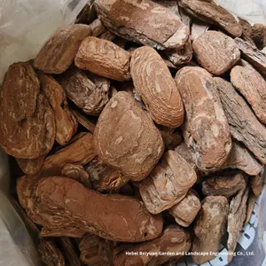 Couverture <span class=keywords><strong>de</strong></span> plante verte <span class=keywords><strong>de</strong></span> paillis d'écorce <span class=keywords><strong>de</strong></span> pin poli <span class=keywords><strong>pour</strong></span> les <span class=keywords><strong>copeaux</strong></span> <span class=keywords><strong>de</strong></span> <span class=keywords><strong>bois</strong></span> décomposés fermentés <span class=keywords><strong>de</strong></span> paysage <span class=keywords><strong>de</strong></span> <span class=keywords><strong>jardin</strong></span> - Product Image 4