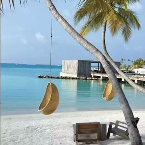 Nid d'oiseau suspendu panier chaise balançoire de jardin suspendu chaise de loisirs en forme d'oeuf pour une personne balcon cabine chez l'habitant - Product Image 6