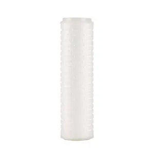 Industrial Water Filtration Sterile Apis Filtration 10 inch Pes Pleated Filter Cartridge for Wine and Beer Industry