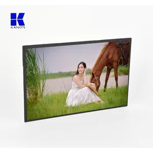 BOE 10,1 Zoll 1920*1200 ips LCD-Display-Modul 10 Zoll hohe Helligkeit tft industrielle Smart-Display-Panel