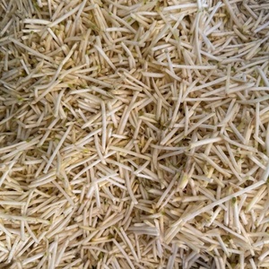 Machine à déchiqueter <span class=keywords><strong>les</strong></span> carottes et <span class=keywords><strong>les</strong></span> pommes de terre à grande vitesse à 16 stations avec une coupe de haute précision - Product Image 6