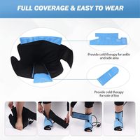 Attelle gonflable pour cheville avec thérapie chaud/froid pour soulager la douleur au pied, botte en gel réutilisable avec pompe à air et soutien pour l'arthrite