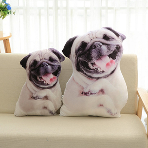 Almohada de decoración Amiable para sofá, forma de almohada personalizada para el cuerpo de las mascotas - Product Image 1