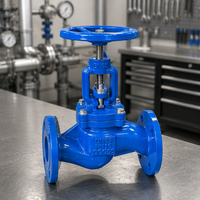 Vanne à soupape à bride antirouille GGG50 PN16 DN65 en fonte ductile pour systèmes de conduites d'eau de circulation de tours de refroidissement