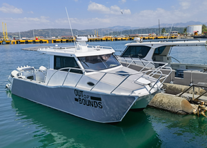 Poseidon 29ft m قارب صيد من الألومنيوم قارب صيد للبيع - Product Image 4