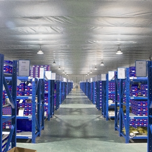 Suku cadang hidrolik penggali <span class=keywords><strong>Motor</strong></span> CAT E180 <span class=keywords><strong>E200B</strong></span> E235B E240 <span class=keywords><strong>Motor</strong></span> perjalanan penggerak terakhir - Product Image 6