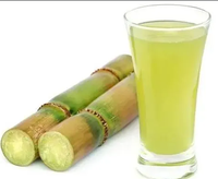 Presse-agrumes de canne à sucre de bureau automatique faisant la machine/extracteur de jus de canne à sucre à haut rendement