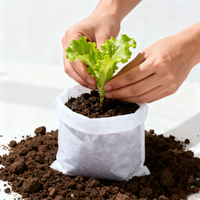 Sacs de culture non tissés blancs Horyard : Sacs de pépinière carrés biodégradables pour semis, pots respirants pour le contrôle des racines, vente en gros