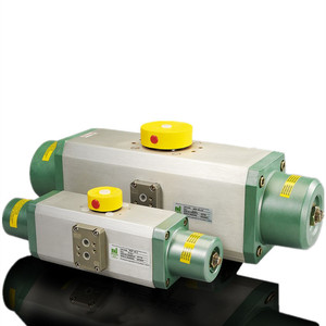 Actuador de Disco Rotatorio Rd-005.0 Neumático para Válvulas - Product Image 5