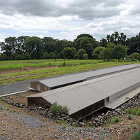 Cobertizo de gallinero de granja con estructura de acero estilo granja para pollos de engorde