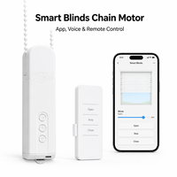 Kit de moteur de chaîne motorisé électrique Tuya Wifi pour stores automatiques, compatible Alexa Google Home, pour maison intelligente