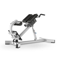 Banc de chaise romaine noire de musculation de gymnastique à domicile personnalisé direct d'usine