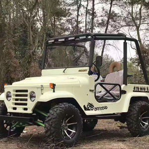 Voiture buggy électrique miniature 250cc la plus populaire, 4x4, quatre roues, Jeep à vendre, transport spécial - Product Image 1