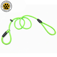 Pet Master produttore all'ingrosso Nylon Dog Training guinzaglio cani P Chain Slip Collar Walking Leads corda per cani
