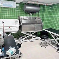 Baignoire électrique relevable pour chiens avec porte coulissante, fonction de massage écologique pour animaux, station de toilettage et de lavage pour grands chiens