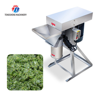 Industriële exportkwaliteit knoflookverwerkingsmachine, zware uitvoering, automatische knoflookpasta-maker, condimentapparatuur