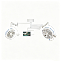 Lampe chirurgicale portable électrique à double dôme LED sans ombre, en métal, pour hôpital, dentisterie et chirurgie vétérinaire