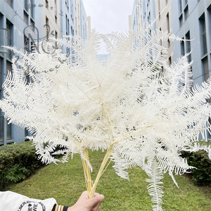 Fiori secchi naturali all'ingrosso piante reali <span class=keywords><strong>angelo</strong></span> eterno felce foglie di felce conservate per la decorazione domestica decorazione di nozze - Product Image 3