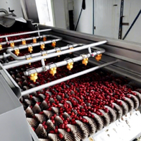 Turnkey Oplossing Voor Machine Om Datum Sap Siroop Jam Datum Verwerking Lijn Productie Plant