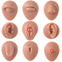 Model Telinga Silikon untuk Latihan Tindik, Alat Peraga Fotografi, Anting Hidung Realistis, Anting Lidah, Anting Pusar, Pajangan Anting Hidung