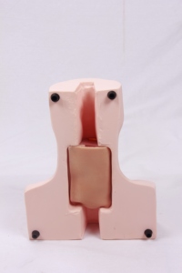 Darhmmy tiên tiến cricothyroid thủng và khí quản đặt nội khí quản manikin khoa học y tế đào tạo mô hình - Product Image 4