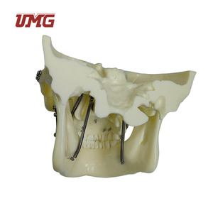 Modèle de <span class=keywords><strong>crâne</strong></span> pour la pratique des implants de fixation de fractures avec plaque en titane prépositionnée pour la formation chirurgicale, l'enseignement et la démonstration - Product Image 4